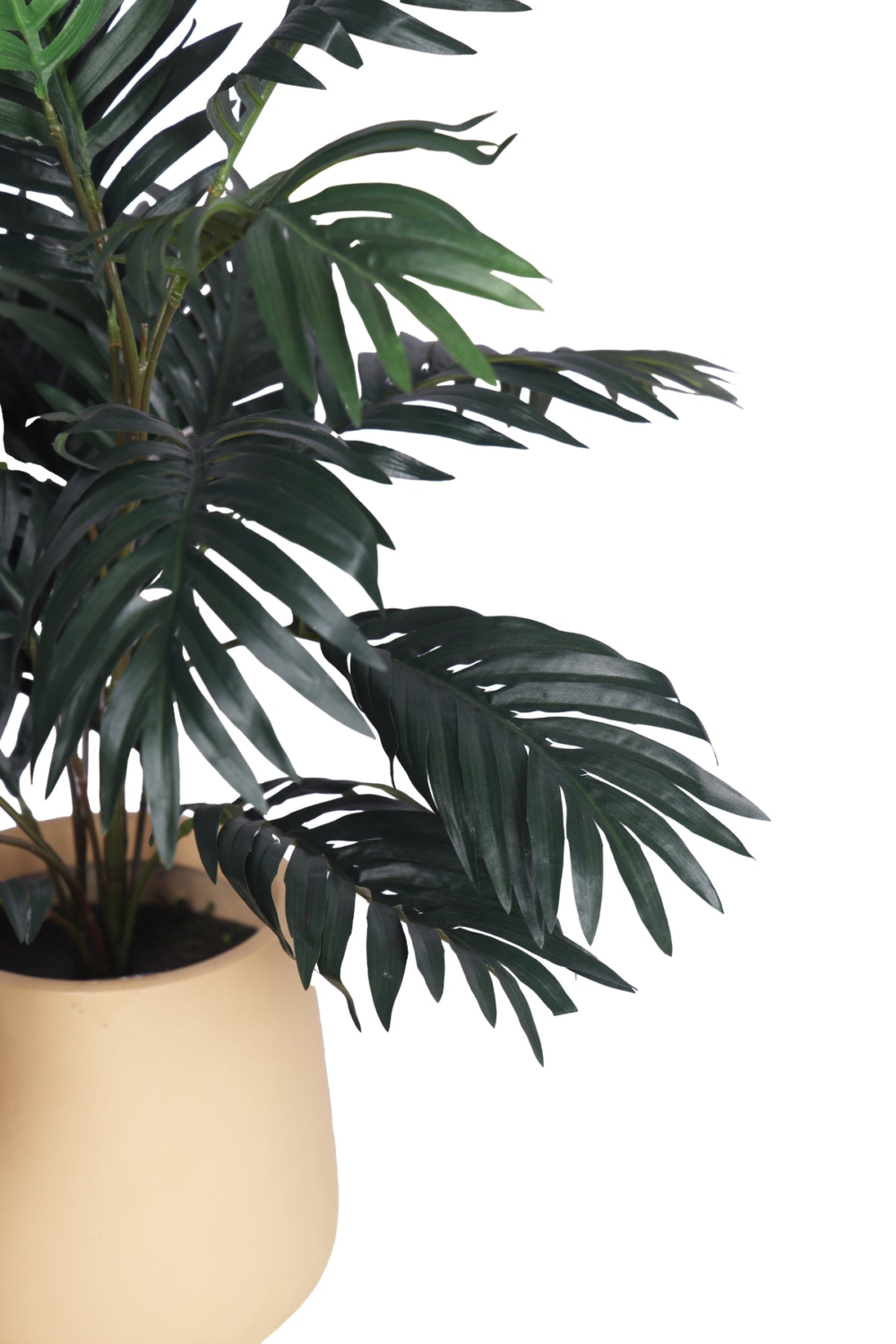 Artificial Palm Plant Without Pot (Pack Of 1) - Image 2
