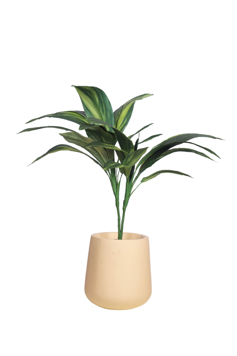 Pollination Real Look Stunning Artificial Dracaena Plant Without Pot ( Pack Of 1, 27 Inch ) - Image 9