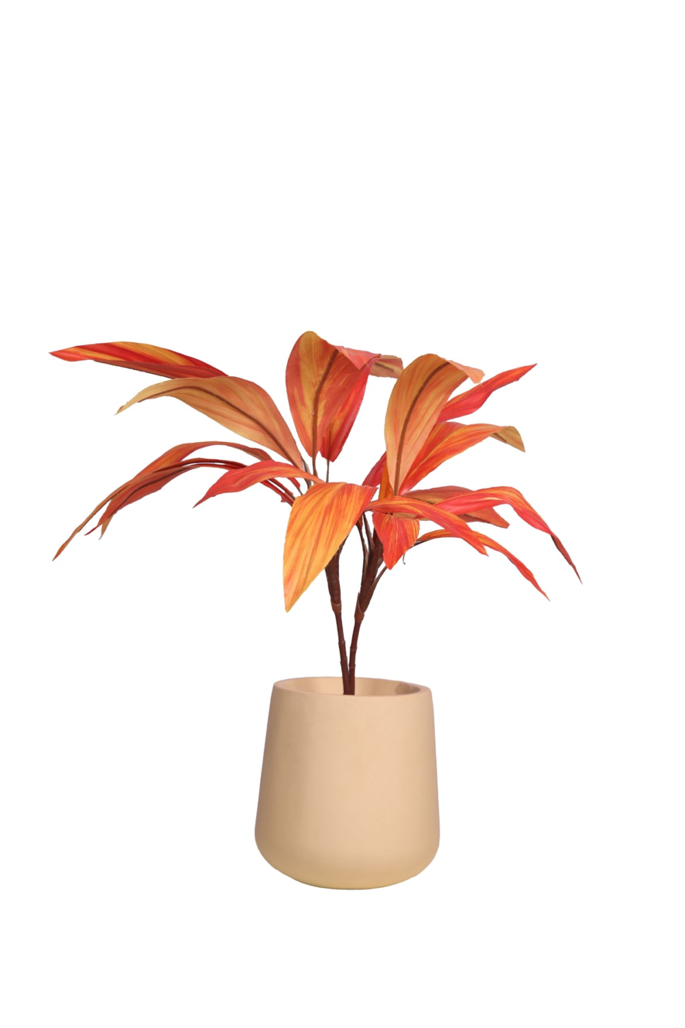 Pollination Real Look Stunning Artificial Dracaena Plant Without Pot ( Pack Of 1, 27 Inch ) - Image 4