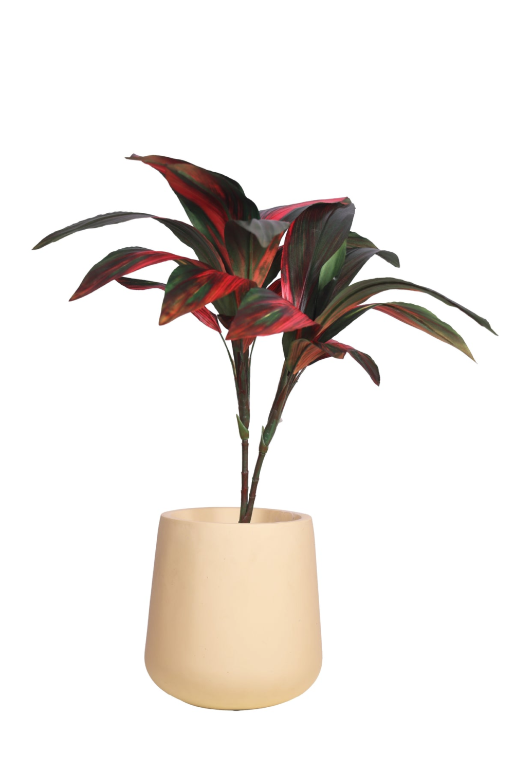 Pollination Real Look Stunning Artificial Dracaena Plant Without Pot ( Pack Of 1, 27 Inch ) - Image 6
