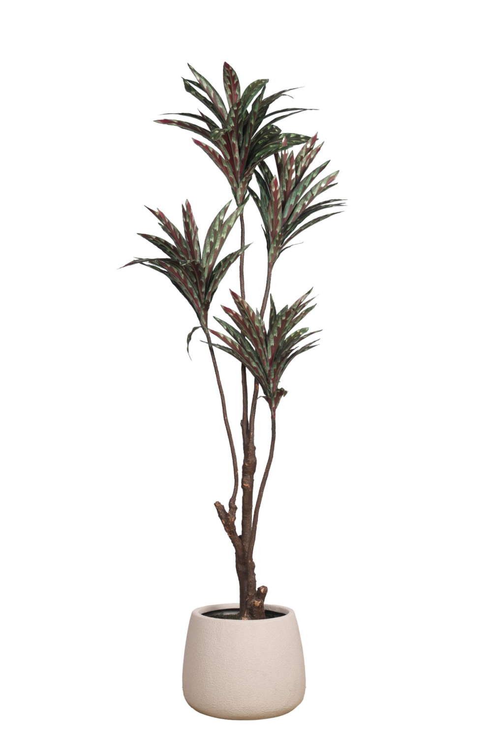 Pollination Decorative Artificial Dracaena Plant Without Pot ( Pack Of 1 ) 5FT - Image 3