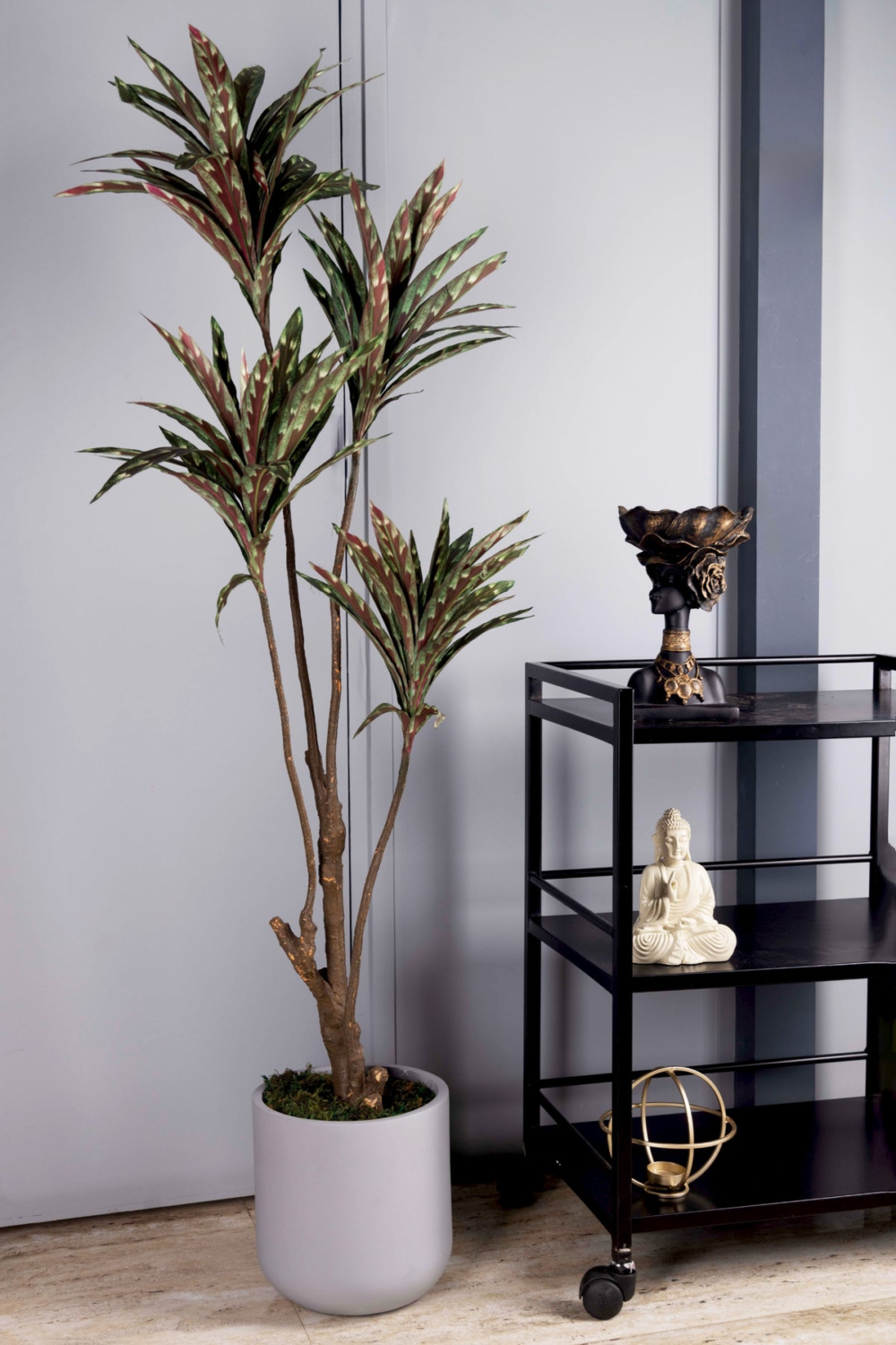 Pollination Decorative Artificial Dracaena Plant Without Pot ( Pack Of 1 ) 5FT
