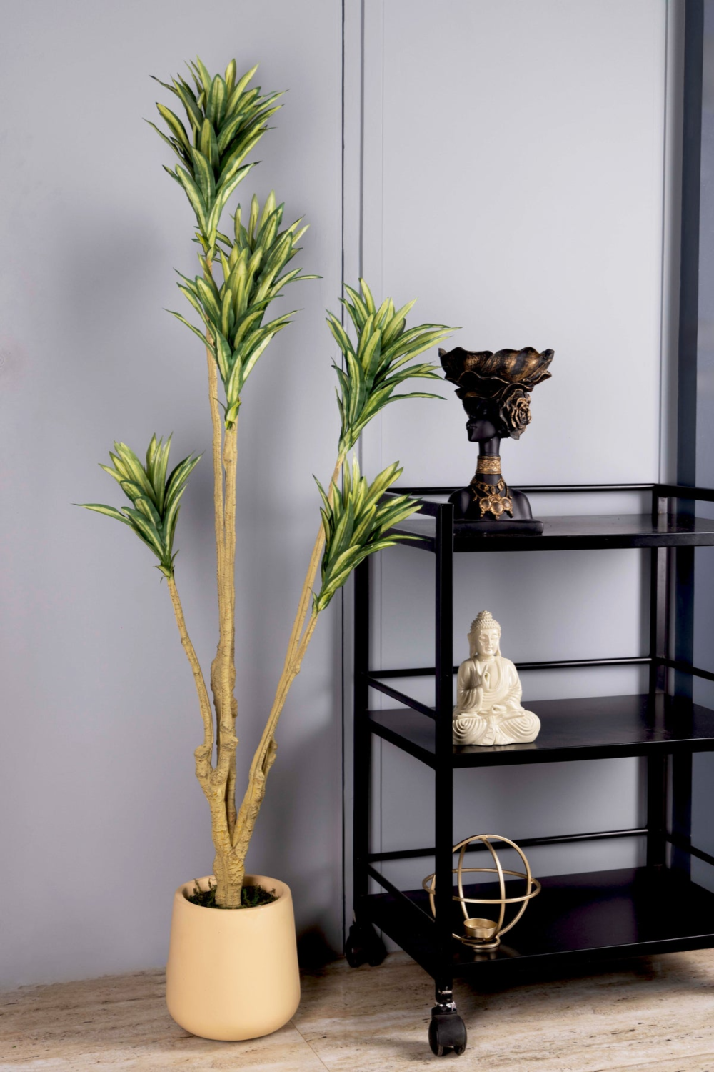 Pollination Decorative Artificial Dracaena Plant Without Pot ( Pack Of 1 ) 5FT - Image 5