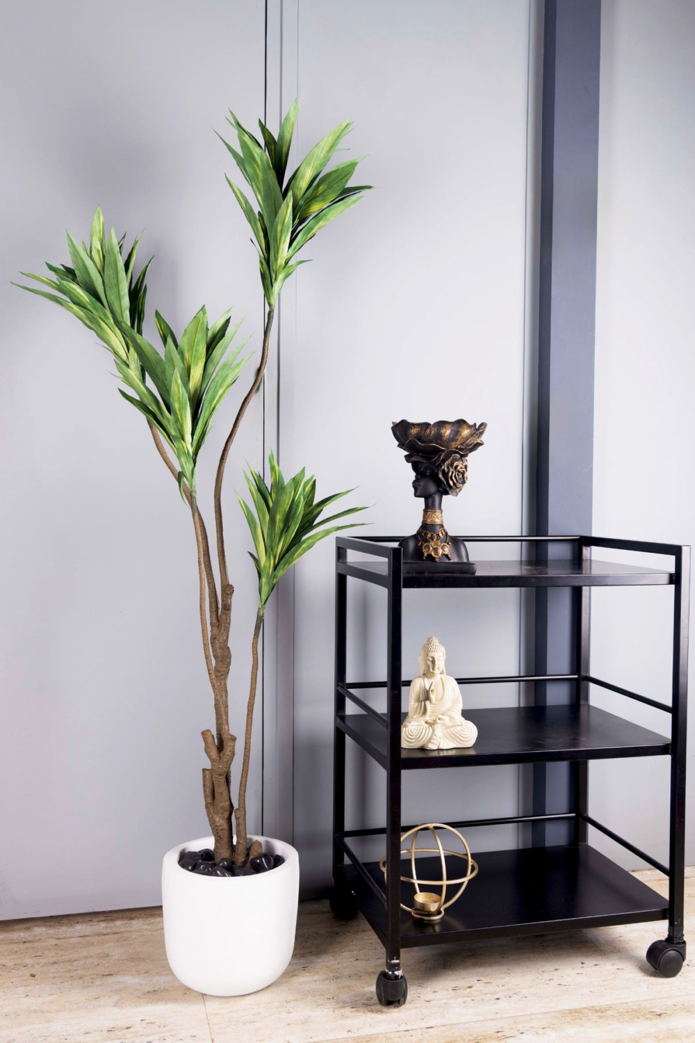 Pollination Decorative Artificial Dracaena Plant Without Pot ( Pack Of 1 ) 5FT - Image 13