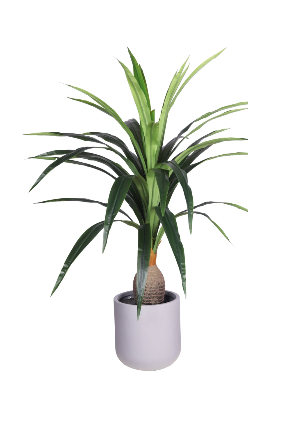 Pollination Artificial Dracaena Plant With Medium Size Leaves (4 Ft) - Image 4