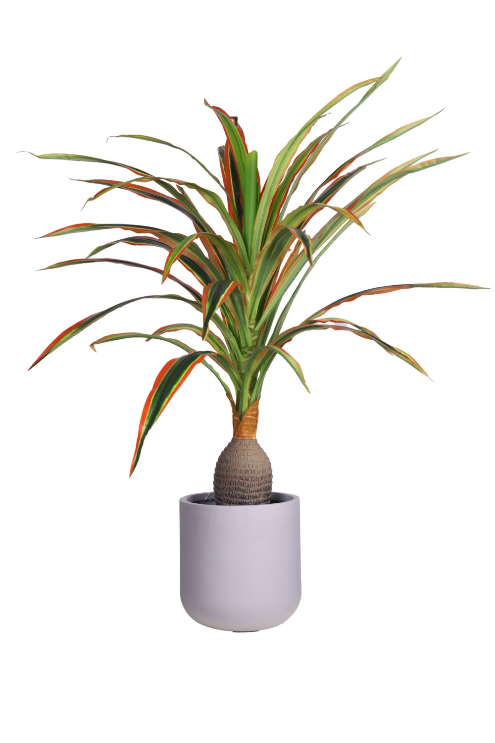 Pollination Artificial Dracaena Plant With Medium Size Leaves (4 Ft) - Image 2
