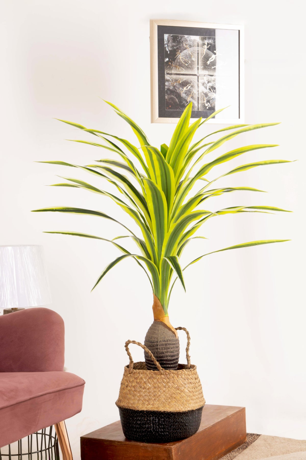 Pollination Artificial Dracaena Plant With Medium Size Leaves (4 Ft) - Image 5