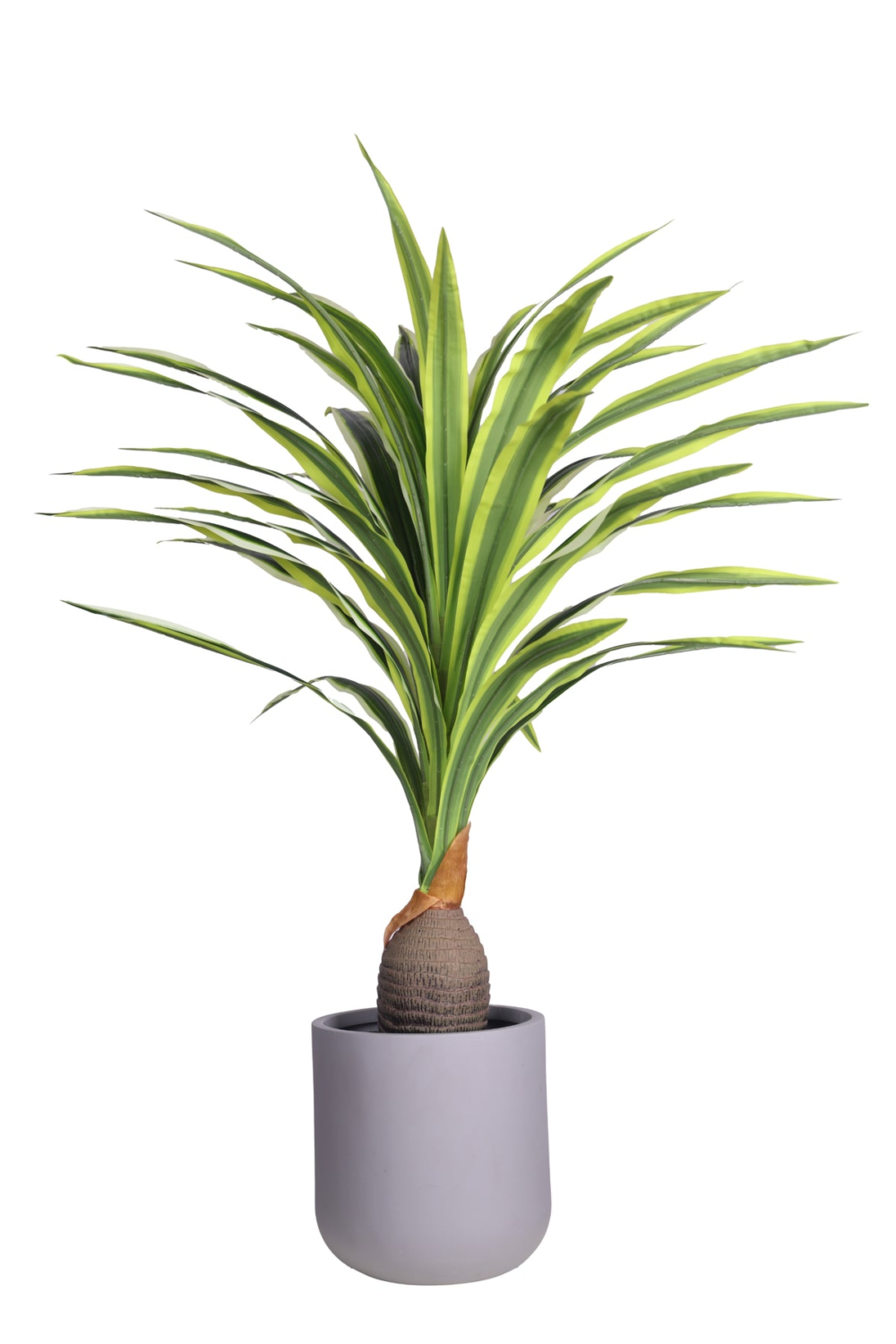 Pollination Artificial Dracaena Plant With Medium Size Leaves (4 Ft) - Image 6