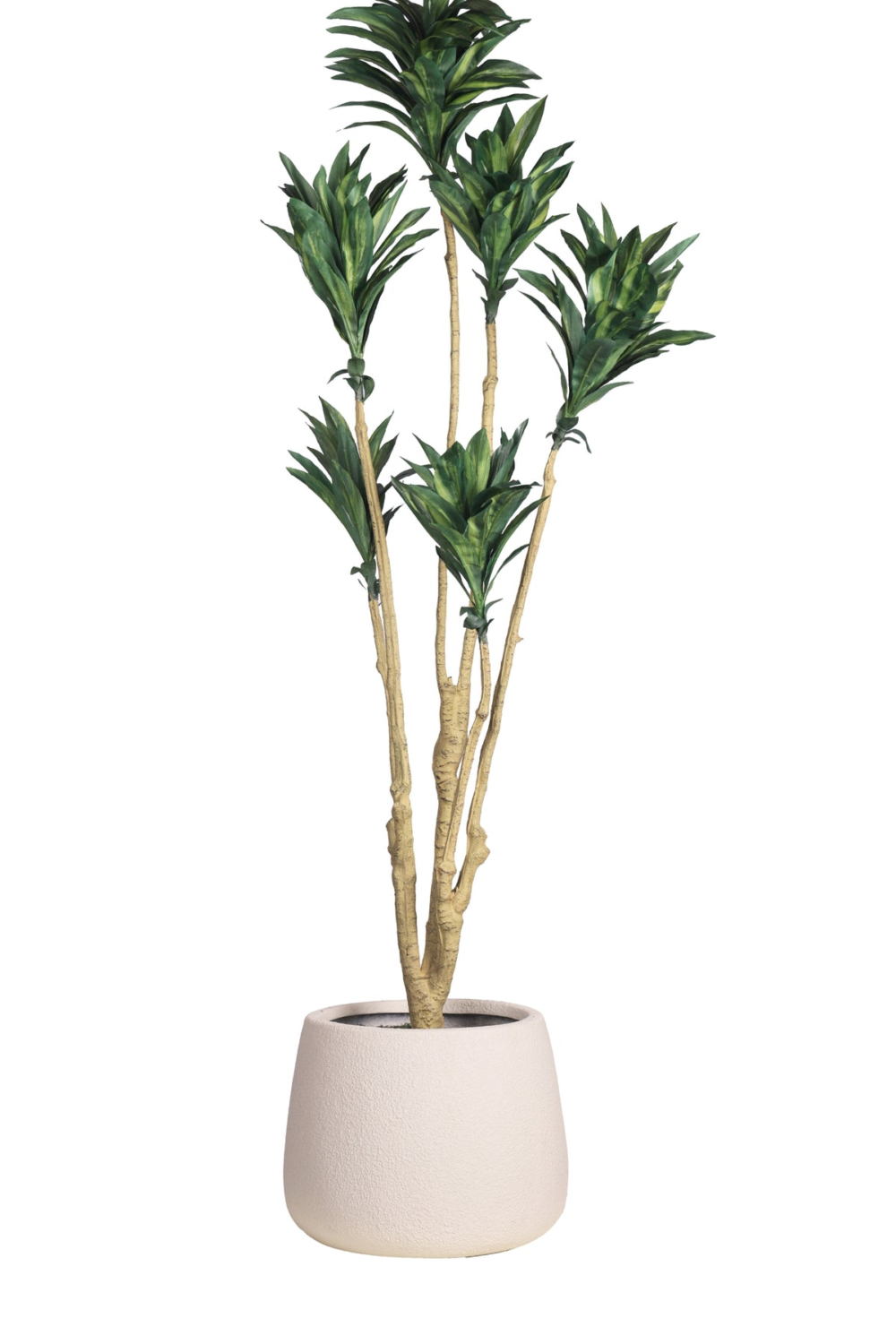 Pollination Attractive Artificial Dracaena Plant without Pot - Image 6