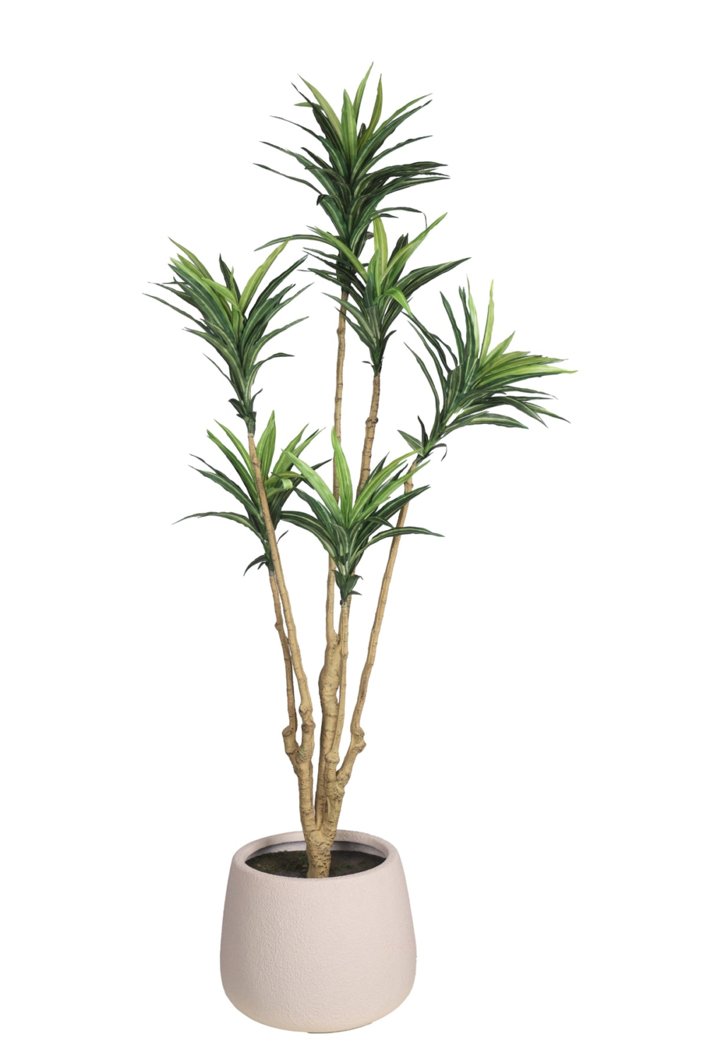Pollination Attractive Artificial Dracaena Plant without Pot - Image 3