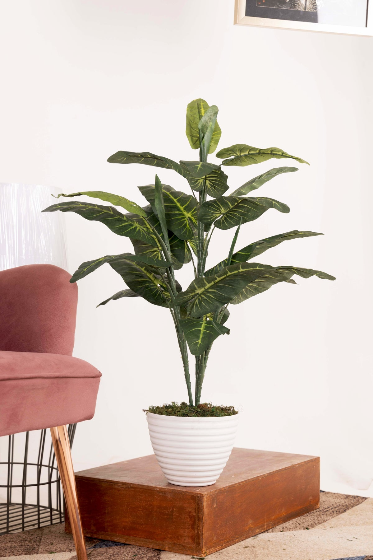 Artificial Elephant Ear Plant Without Pot (Pack Of 1)