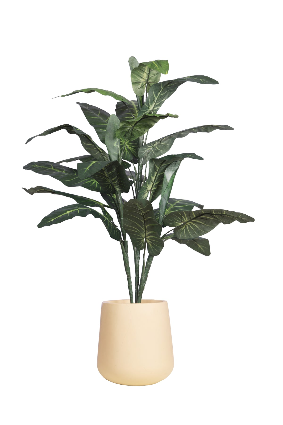 Artificial Elephant Ear Plant Without Pot (Pack Of 1) - Image 2