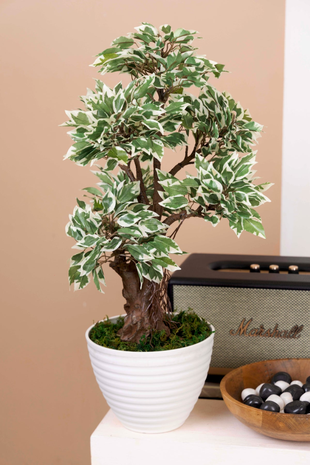 Pollination Classy Artificial Ficus Tree Bonsai Plant Without Pot ( Pack of 1 )