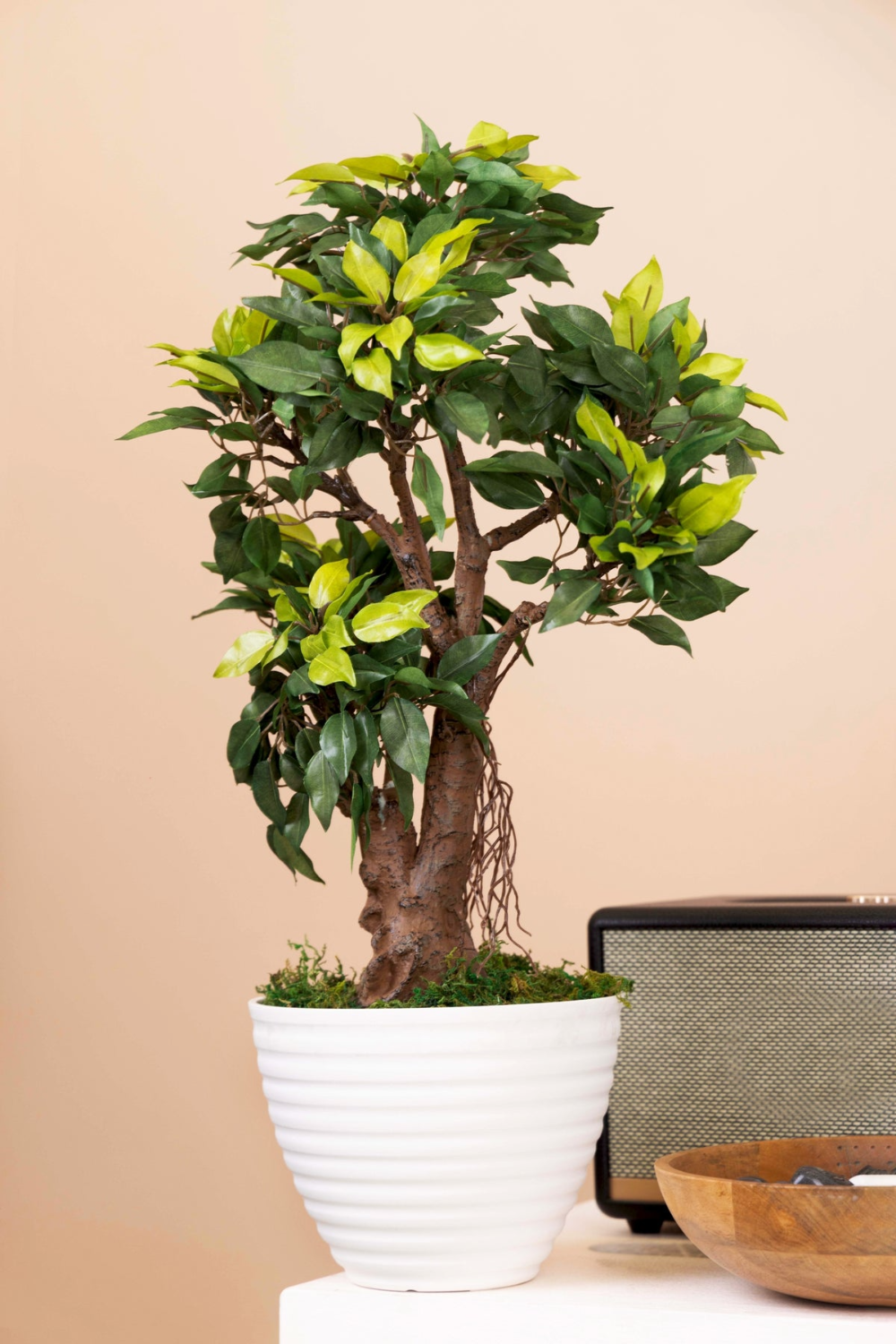 Pollination Classy Artificial Ficus Tree Bonsai Plant Without Pot ( Pack of 1 ) - Image 3