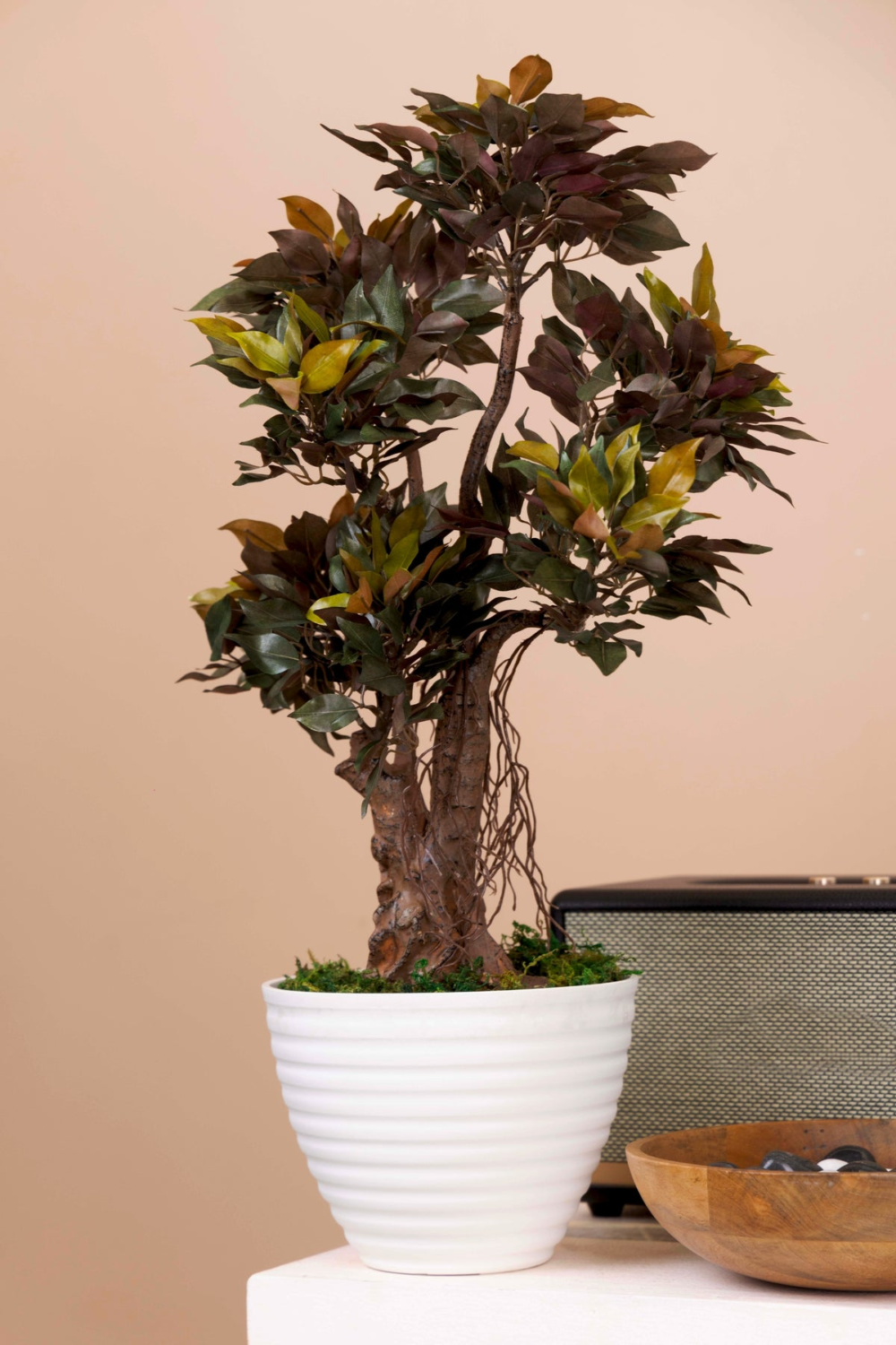 Pollination Classy Artificial Ficus Tree Bonsai Plant Without Pot ( Pack of 1 ) - Image 5