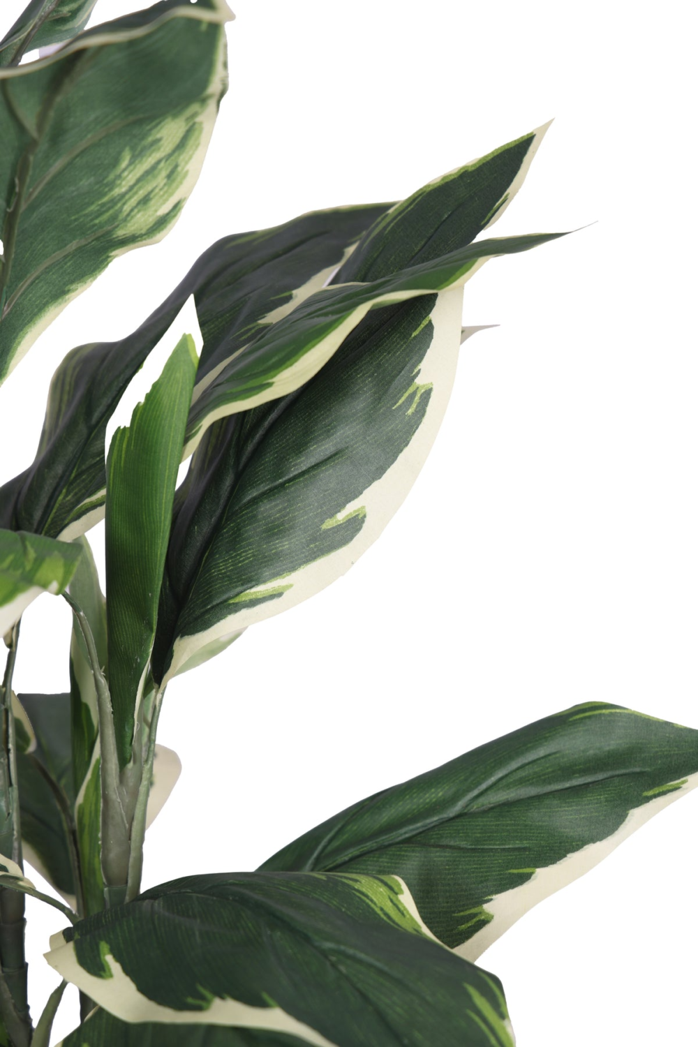 Artificial Hosta Plant Without Pot (Pack Of 1) - Image 3