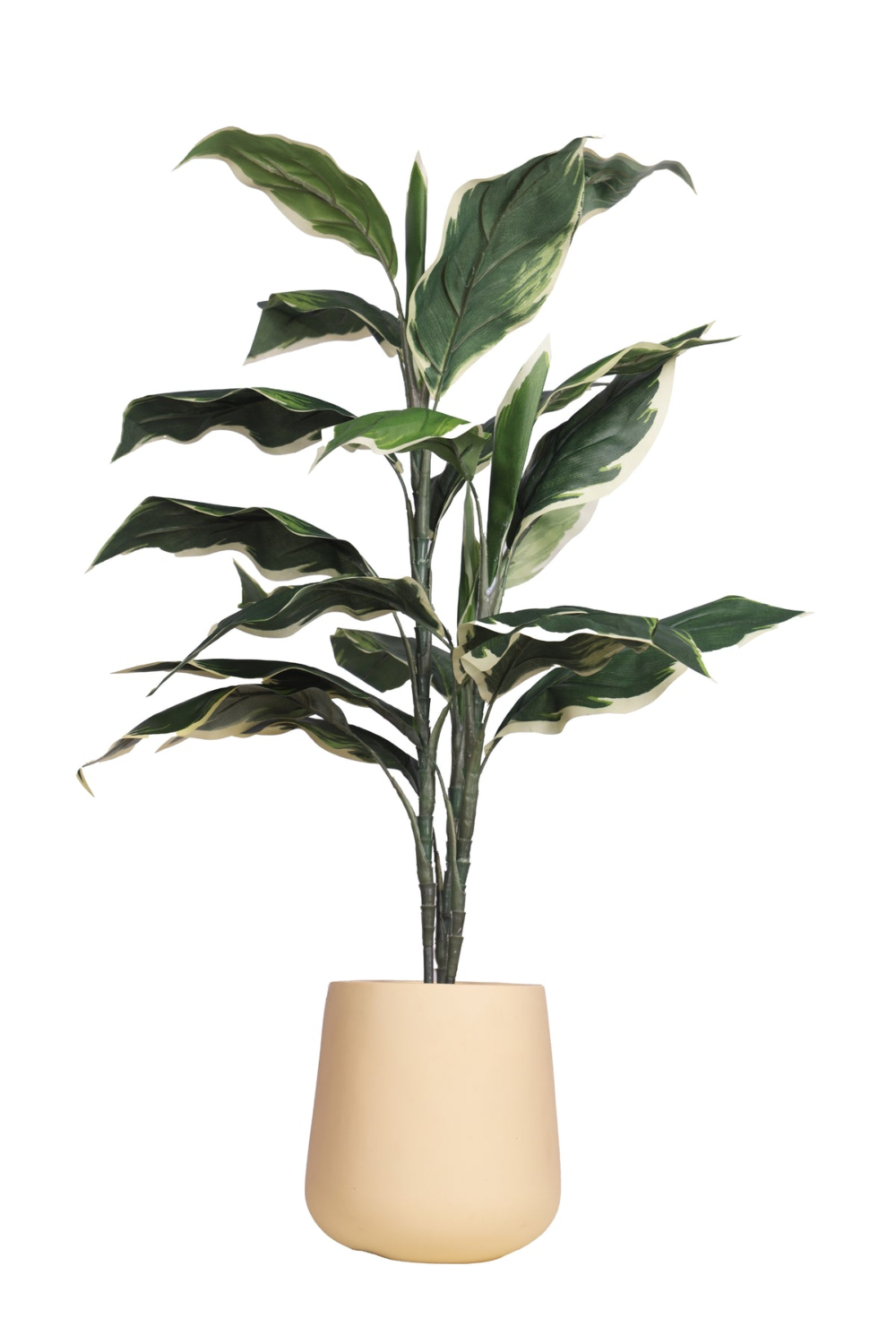 Artificial Hosta Plant Without Pot (Pack Of 1) - Image 2