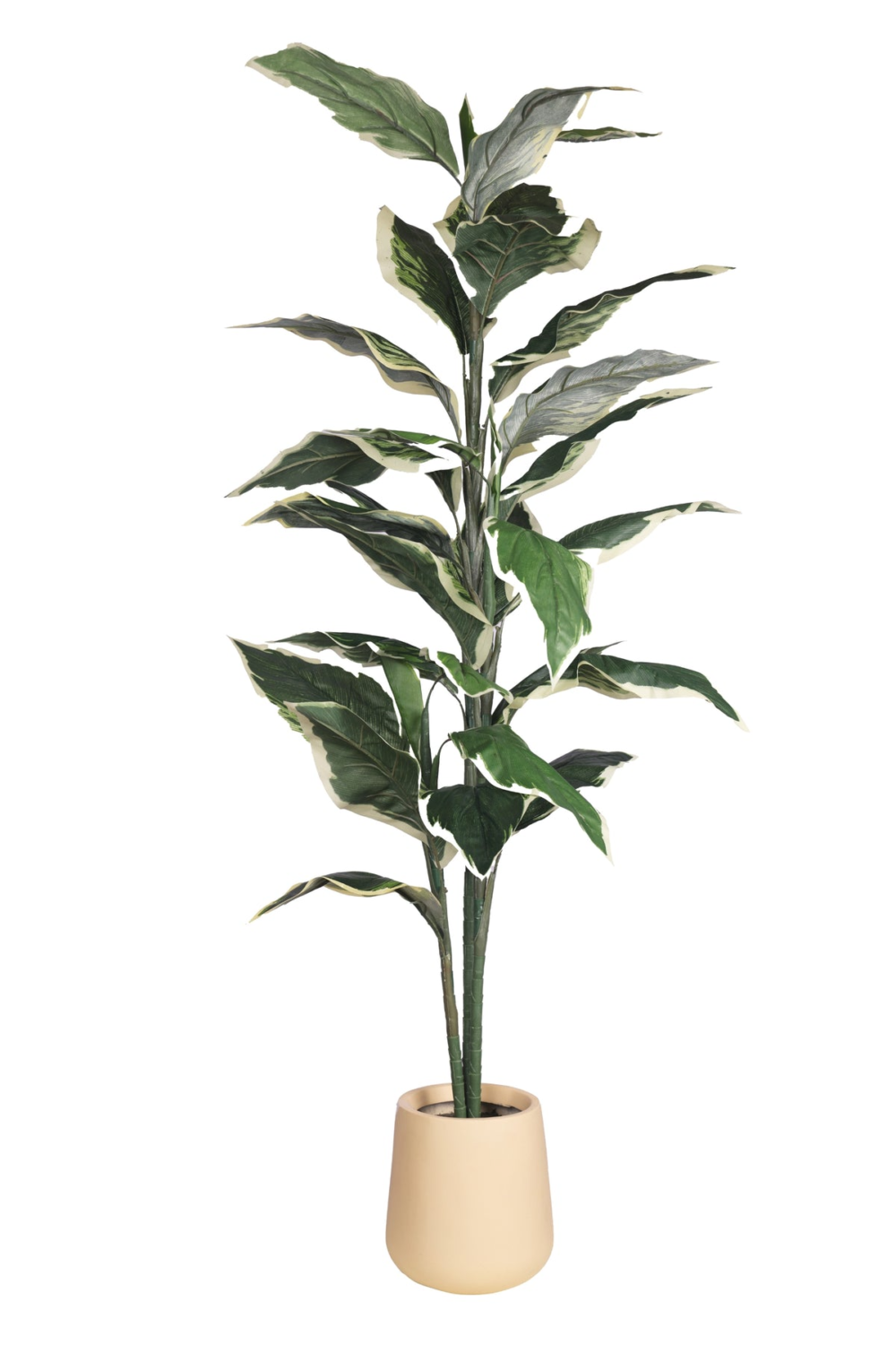 Pollination Hosta Green Artificial Plant Without Pot ( Pack of 1 ) - Image 2