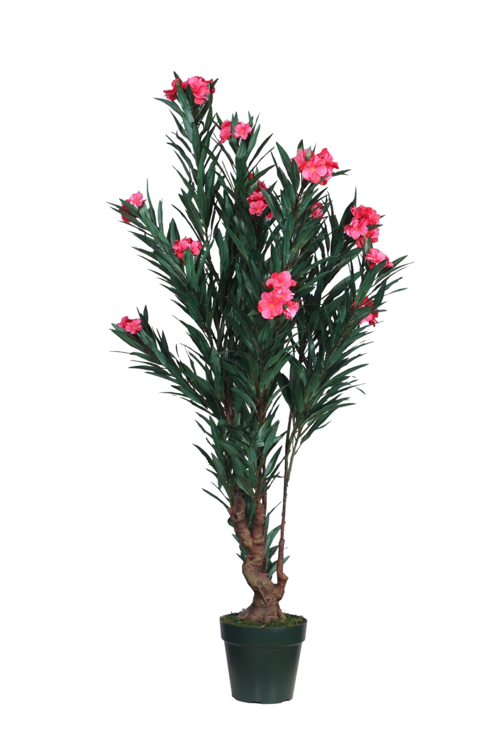 Pollination artificial Oleander ( OLEANPINK ) Plant - Brighten Your Space With vibrant Pink Blooms - Image 2
