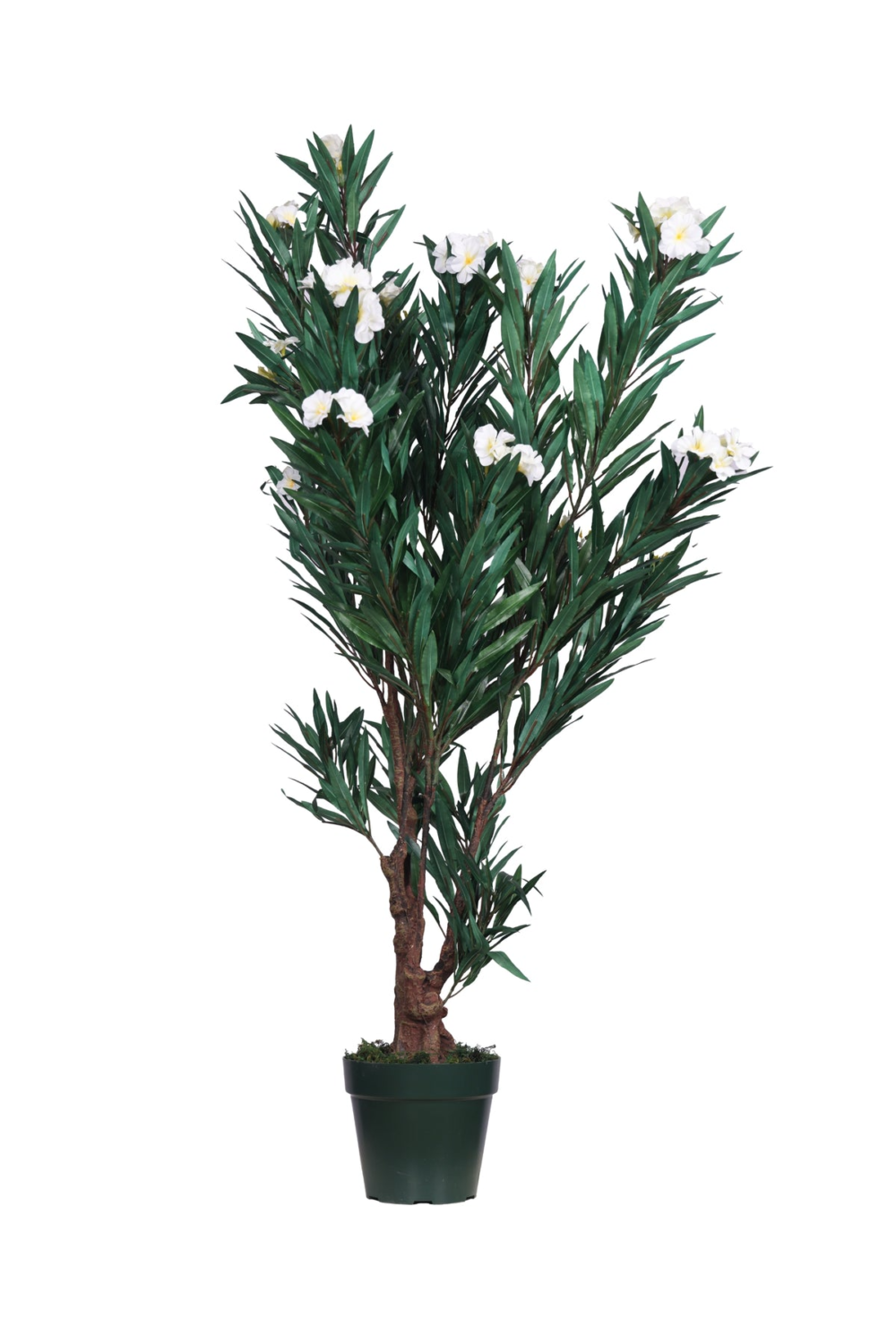 Pollination artificial Oleander ( OLEANPINK ) Plant - Brighten Your Space With vibrant Pink Blooms - Image 5
