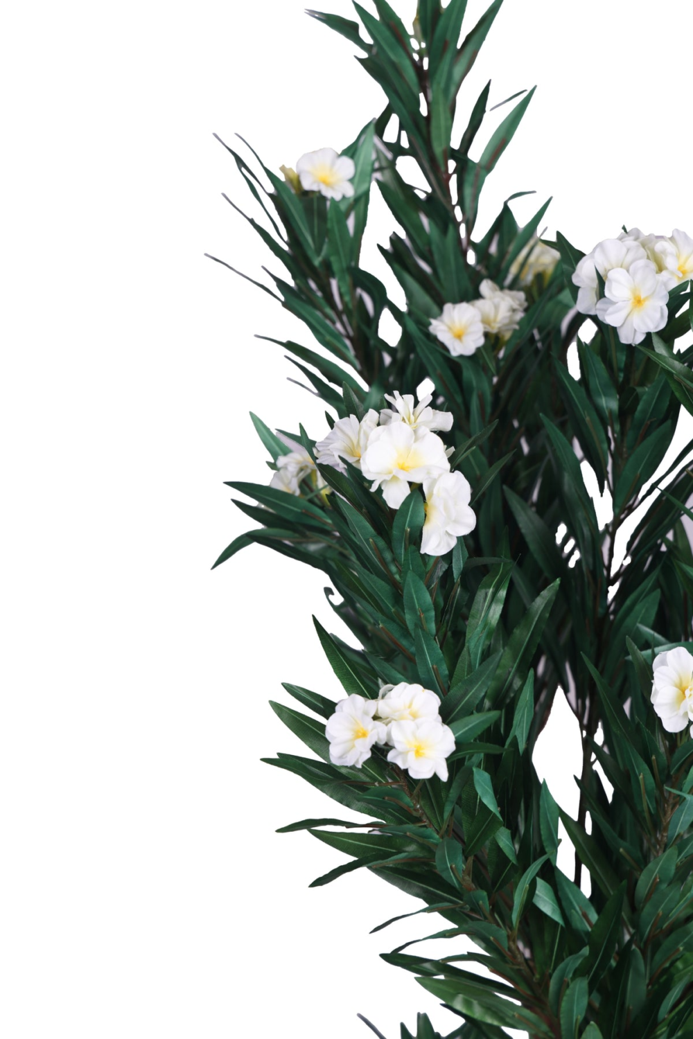 Pollination artificial Oleander ( OLEANPINK ) Plant - Brighten Your Space With vibrant Pink Blooms - Image 6