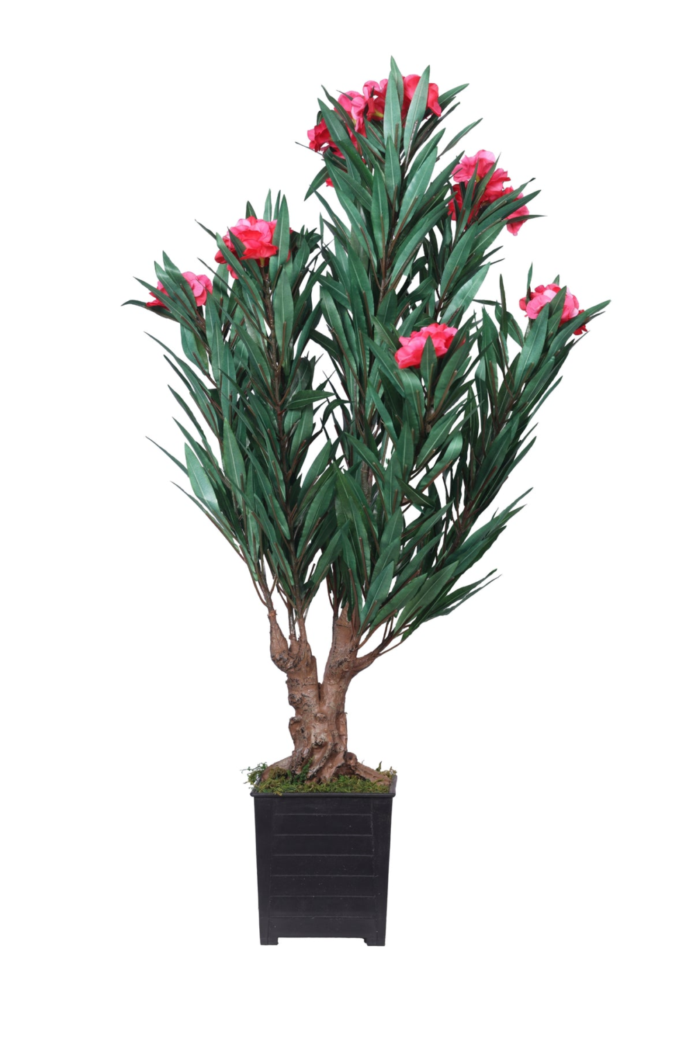 Pollination Artificial Oleanpink Plants For Home Decoration ( Pack Of 1 ) Pink - Image 2