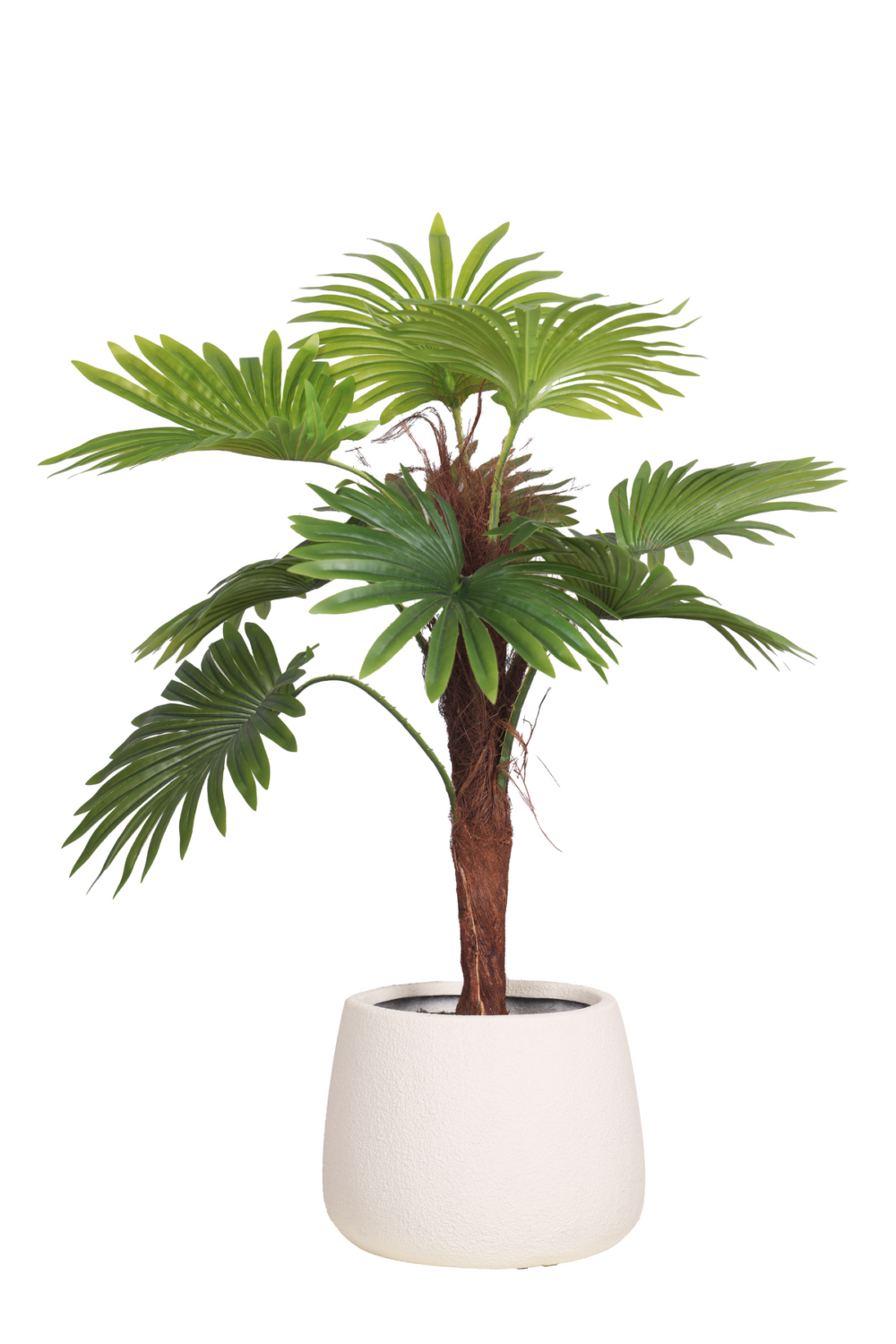 Pollination Artificial Raffix Palm Plant - Infuse Your Space With Tropical Serenity- 3FT - Image 3