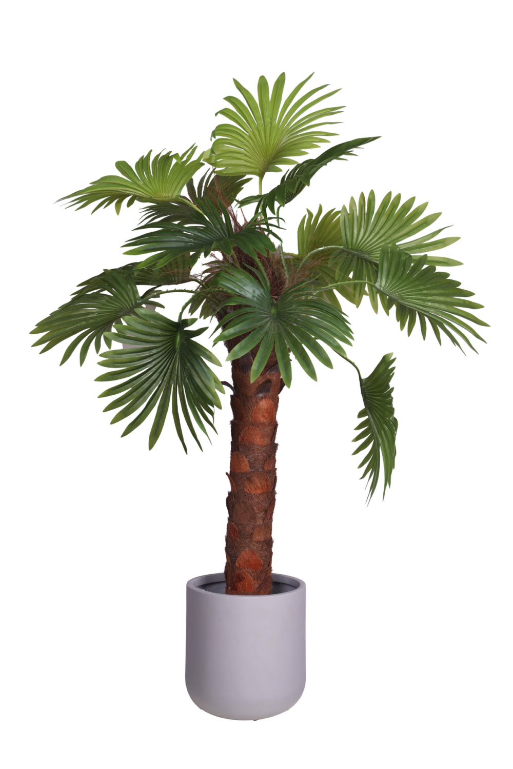 Pollination Artificial Raffix Palm Plant- Infuse Your Space With Tropical serenity- 4 FT - Image 3
