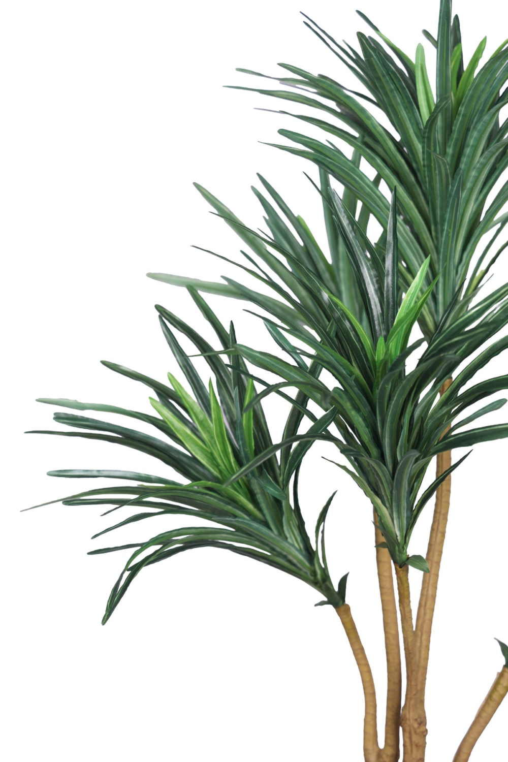 Artificial Yucca Plant Without Pot (Pack of 1) Green - Image 4