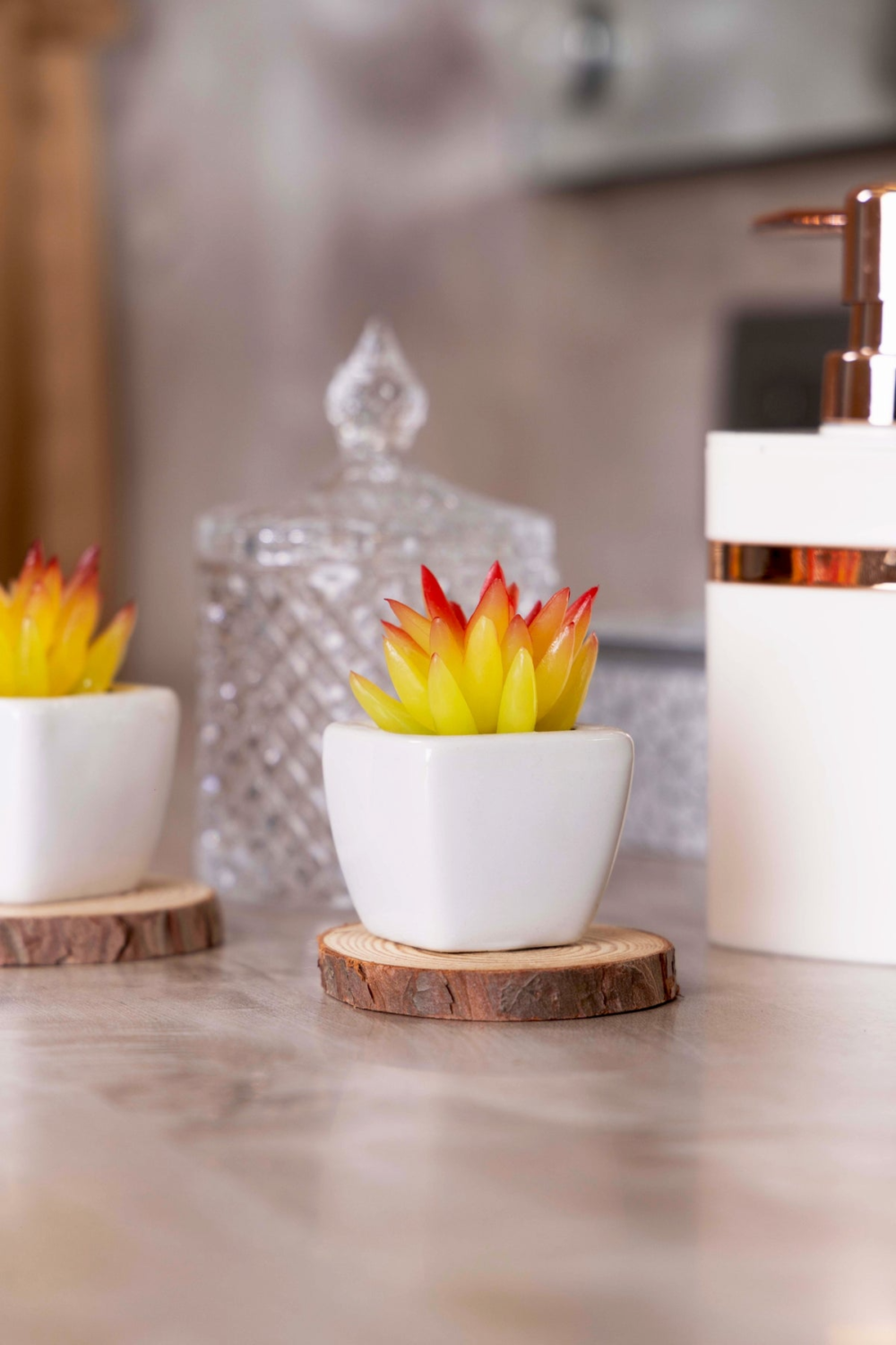 Pollination Artificial Succulent With Ceramic Pot Set Of 2 - Image 2