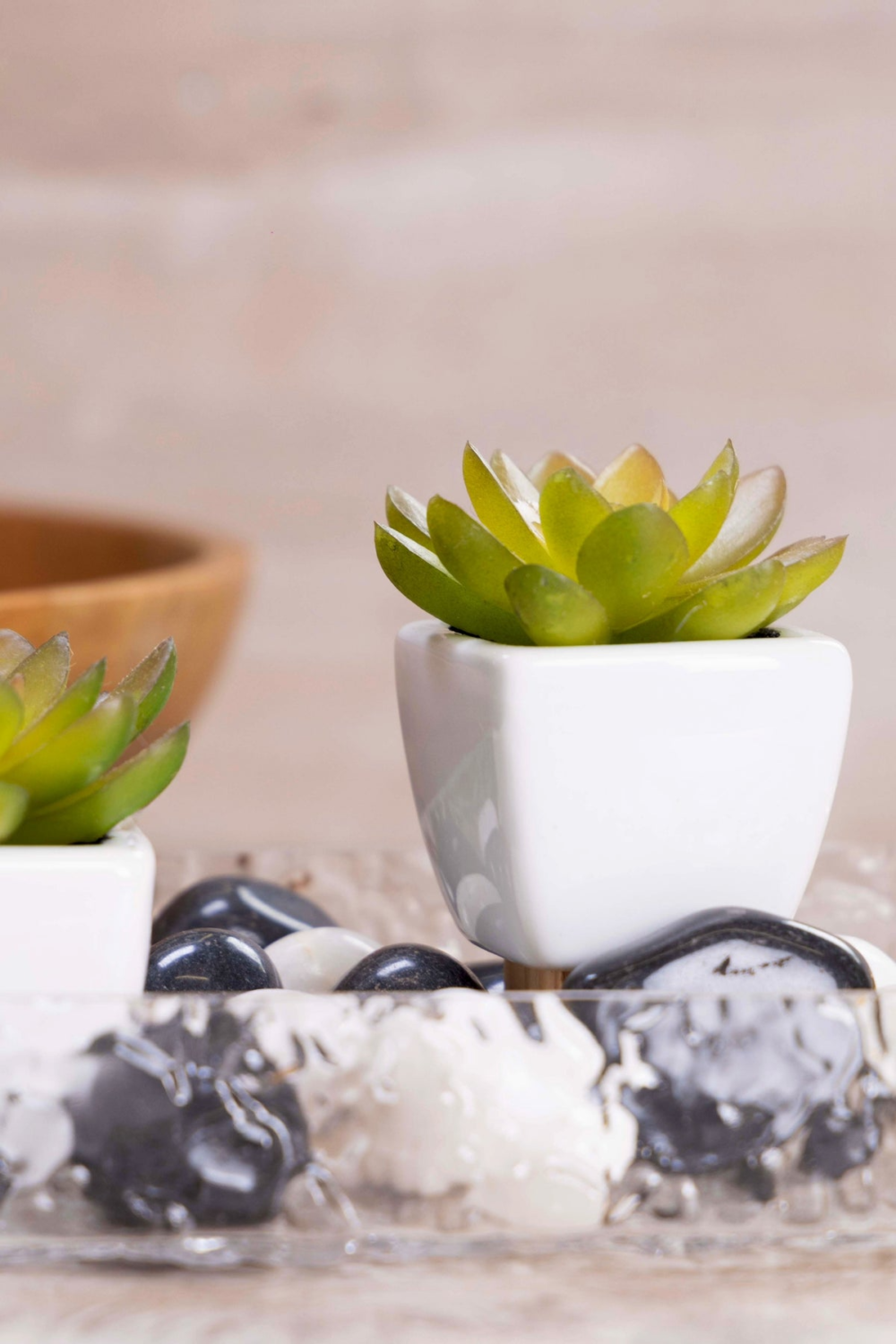 Pollination Artificial Succulent With Ceramic Pot ( Set Of 2 ) - Image 3