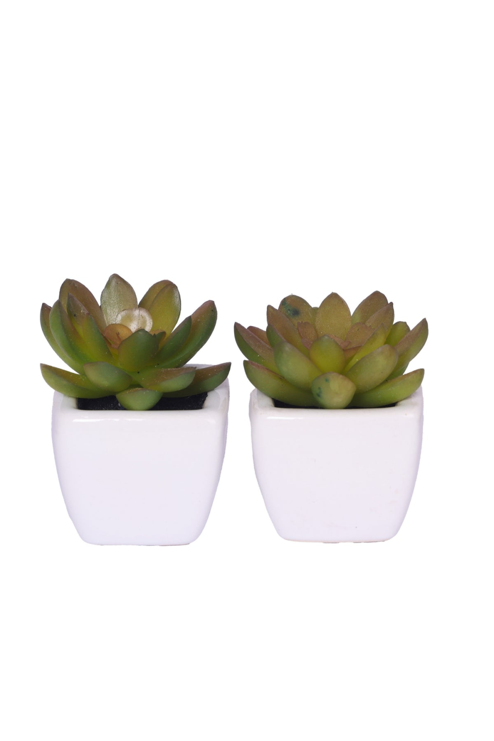 Pollination Artificial Succulent With Ceramic Pot ( Set Of 2 ) - Image 4