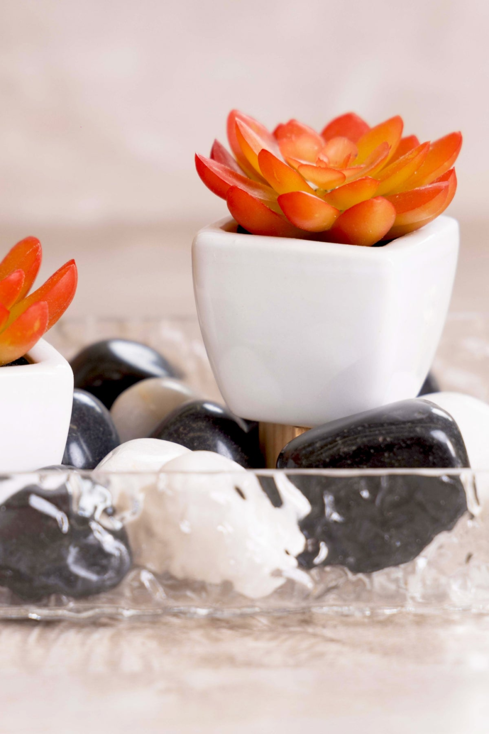 Pollination Artificial Succulent With Ceramic Pot ( Set Of 2 )