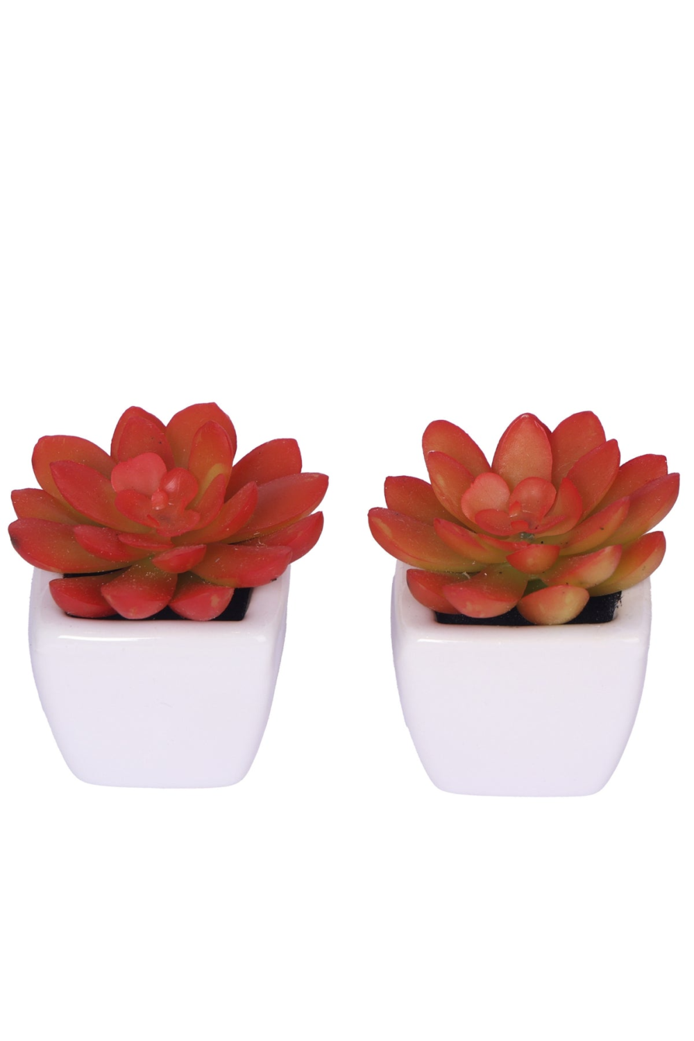Pollination Artificial Succulent With Ceramic Pot ( Set Of 2 ) - Image 2