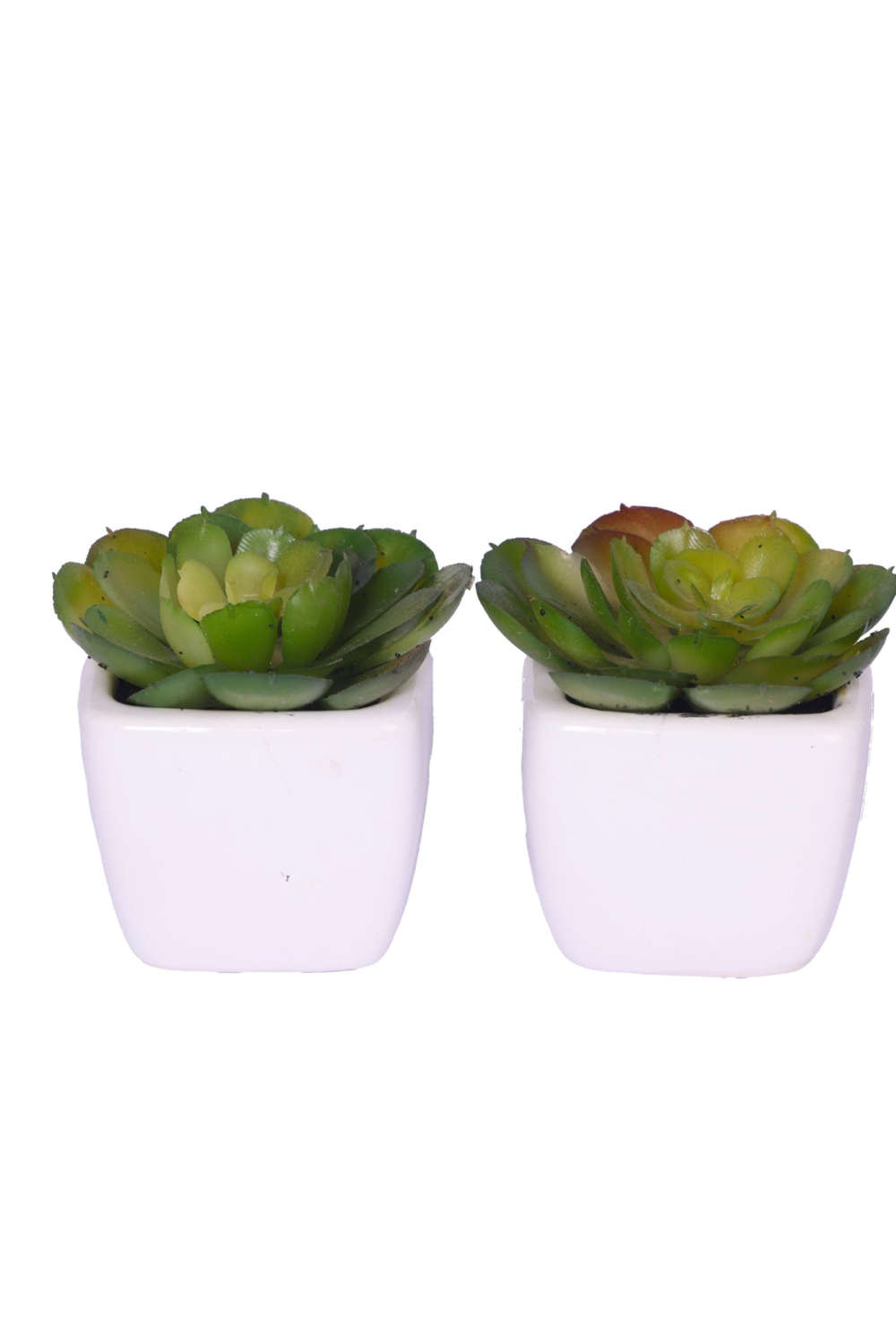 Pollination Artificial Succulent Bonsai With Ceramic Pot Set Of 2 - Image 2