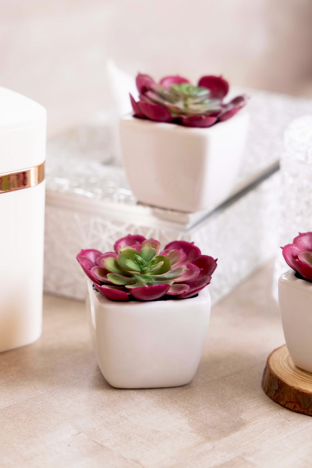 Pollination Artificial Succulent Bonsai With Ceramic Pot Set Of 2 - Image 3