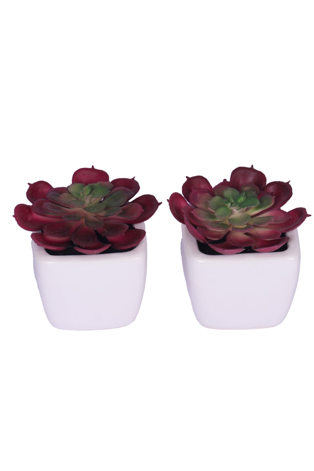 Pollination Artificial Succulent Bonsai With Ceramic Pot Set Of 2 - Image 4