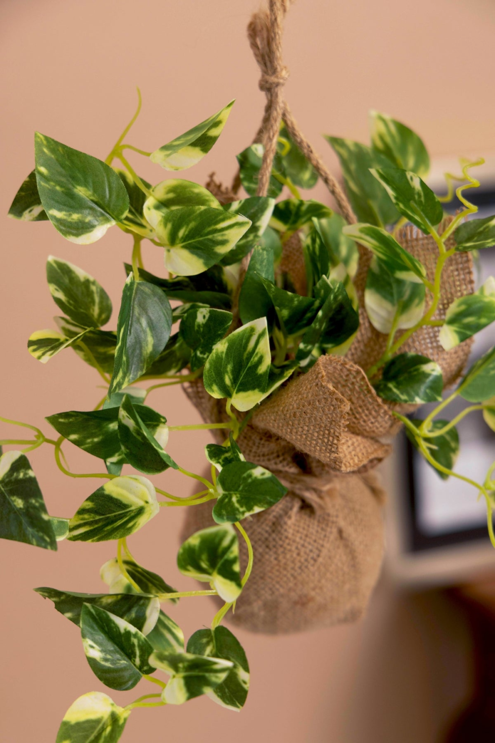 Pollination Beautiful artificial Hanging Ivy Creeper In a Jute Bag  For Balcony ( Pack Of 1 ) Pothos