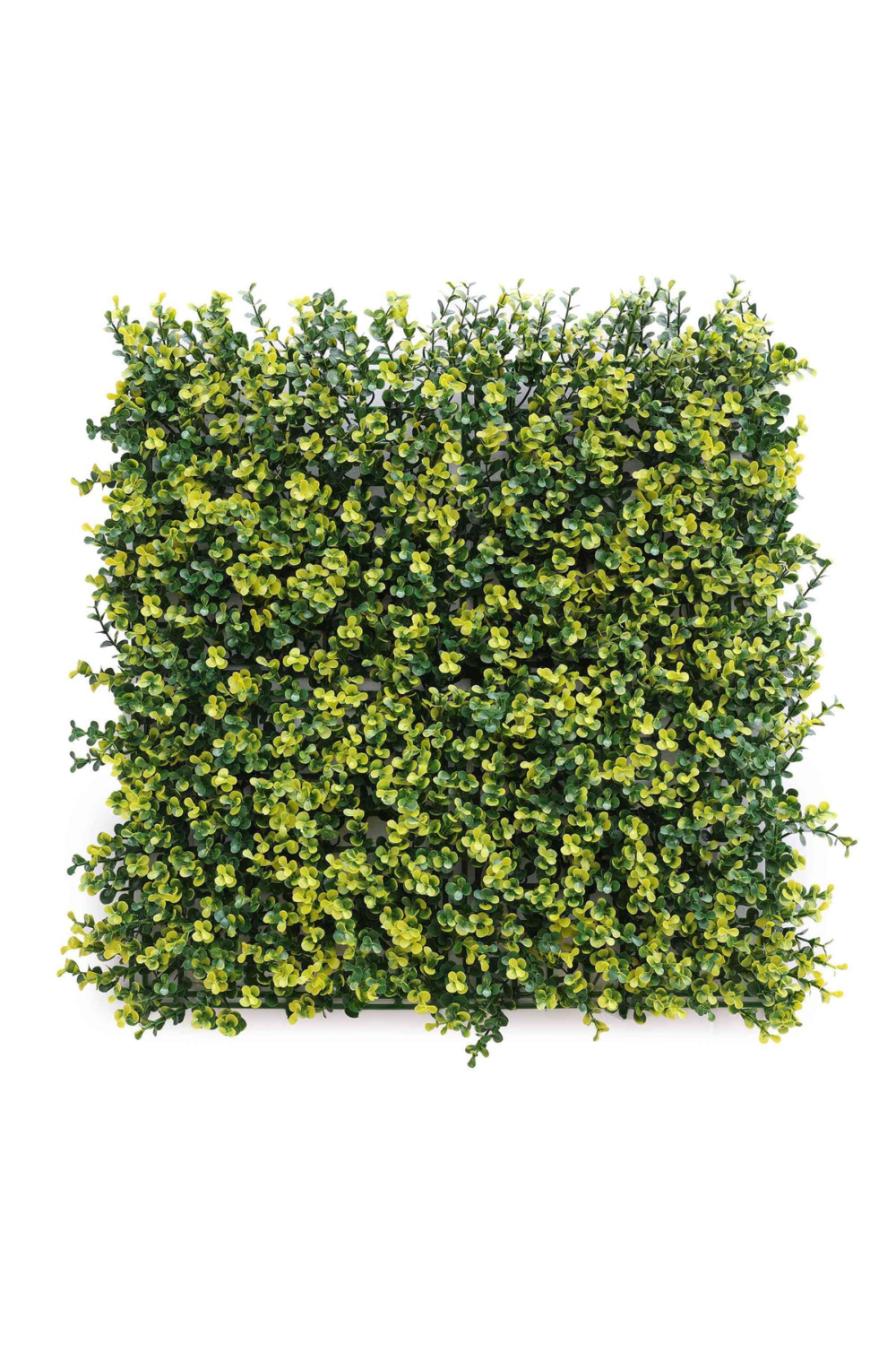 Green Leaves Artificial Vertical Garden wall Tile ( Pack of 1 )