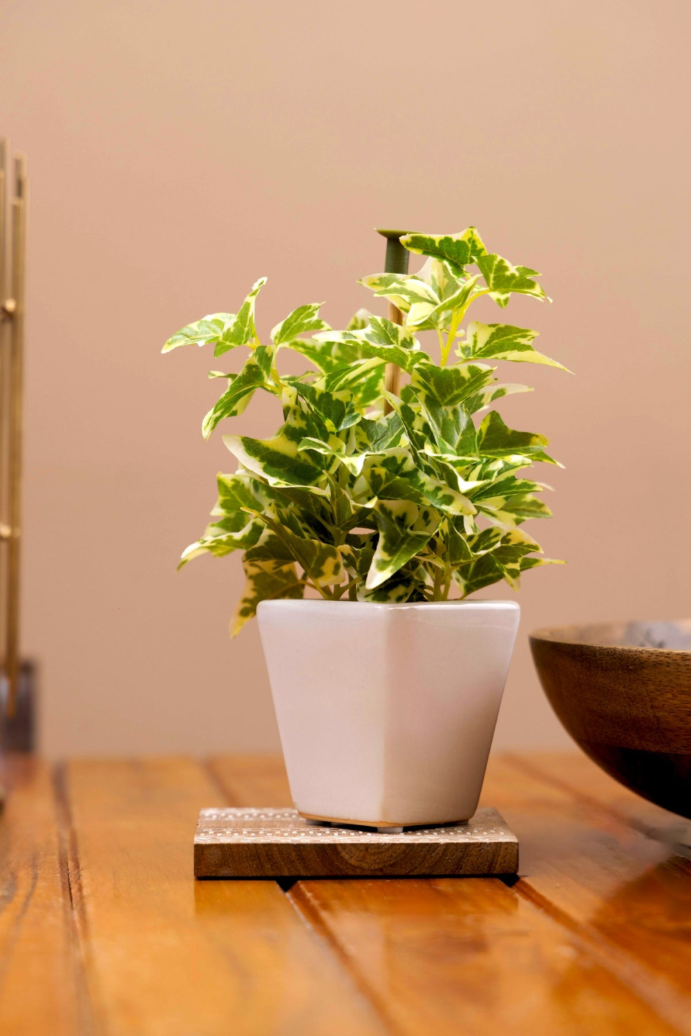 Pollination Artificial White Green Bonsai Plant With Pot - Image 11