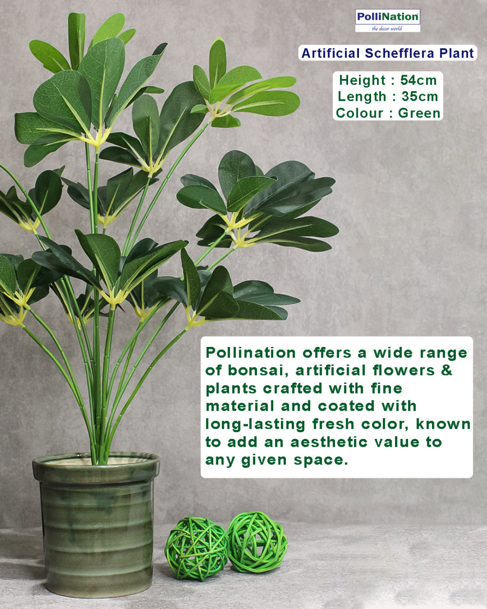 Pollination Schefflera Artificial Plant Without Pot ( Pack Of 1, 54cm ) - Image 8