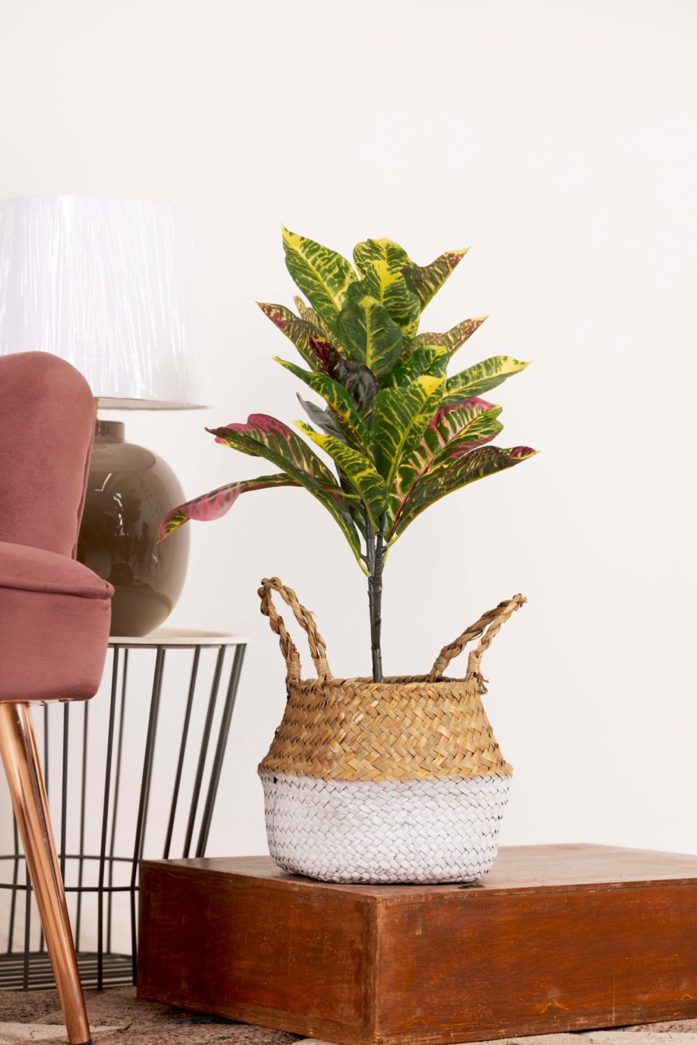 Rainbow Croton Faux House Plant Without Pot - 2 Feet