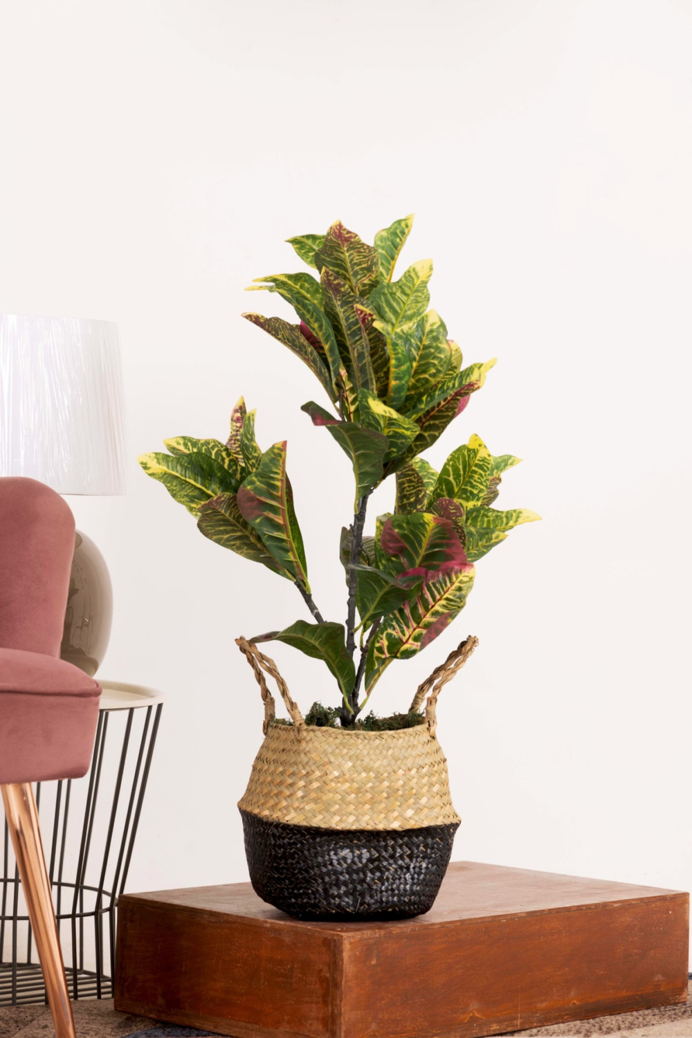Rainbow Croton Faux House Plant Without Pot - 2.5 Feet