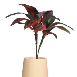 Pollination Real Look Stunning Artificial Dracaena Plant Without Pot ( Pack Of 1, 27 Inch ) - Image 6