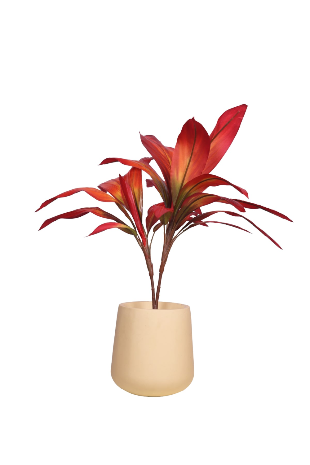 Pollination Real Look Stunning Artificial Dracaena Plant Without Pot ( Pack Of 1, 27 Inch ) - Image 2