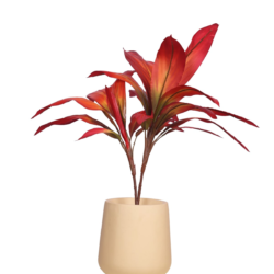 Pollination Real Look Stunning Artificial Dracaena Plant Without Pot ( Pack Of 1, 27 Inch ) - Image 2