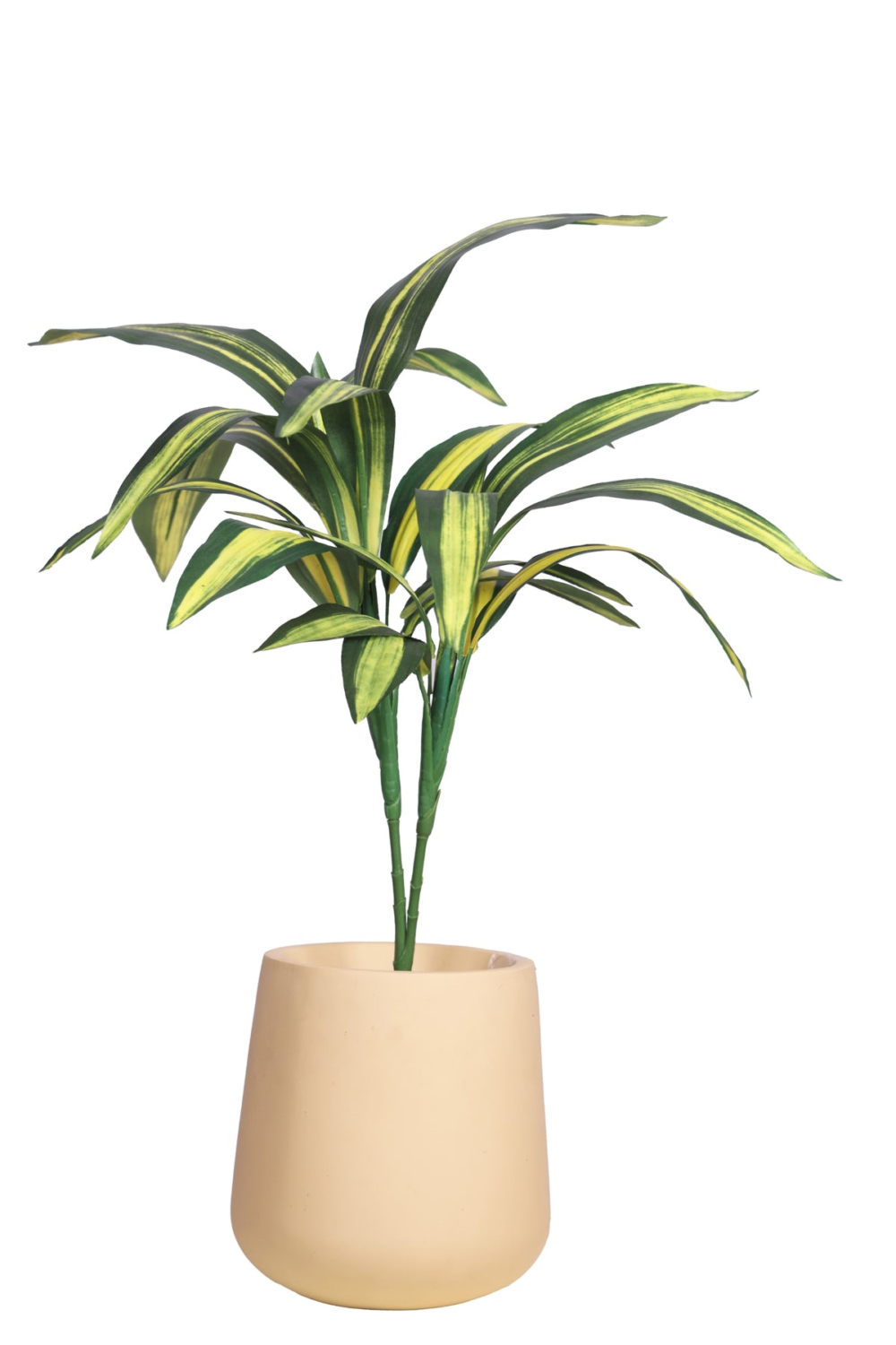 Pollination Real Look Stunning Artificial Dracaena Plant Without Pot ( Pack Of 1, 27 Inch ) - Image 11