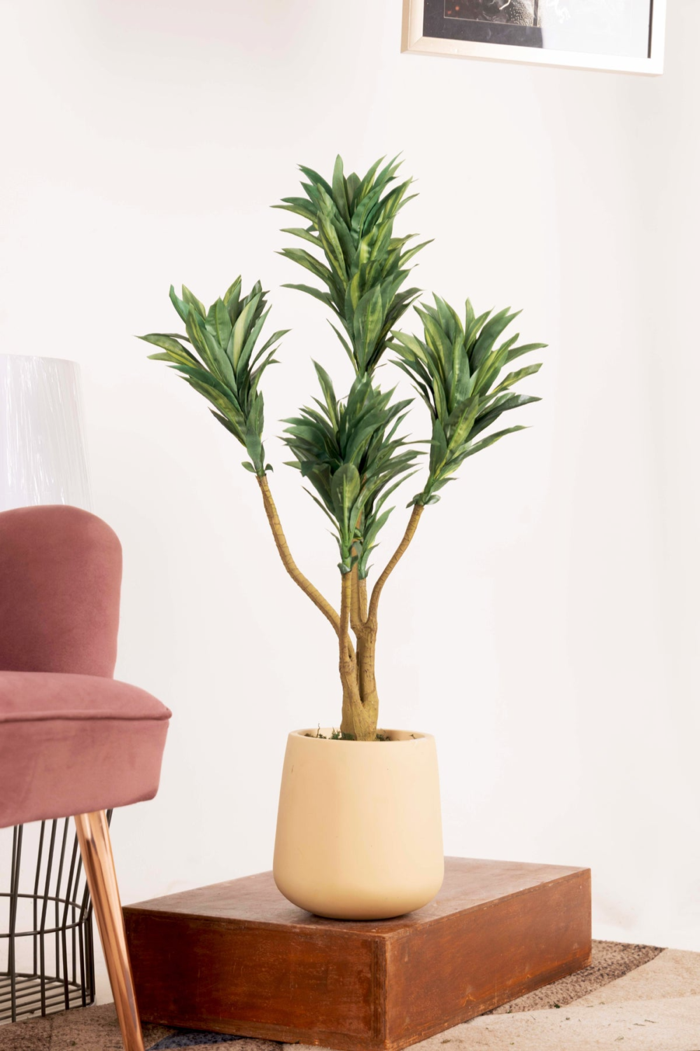 Pollination Attractive Artificial Dracaena Plant Without Pot - Image 9