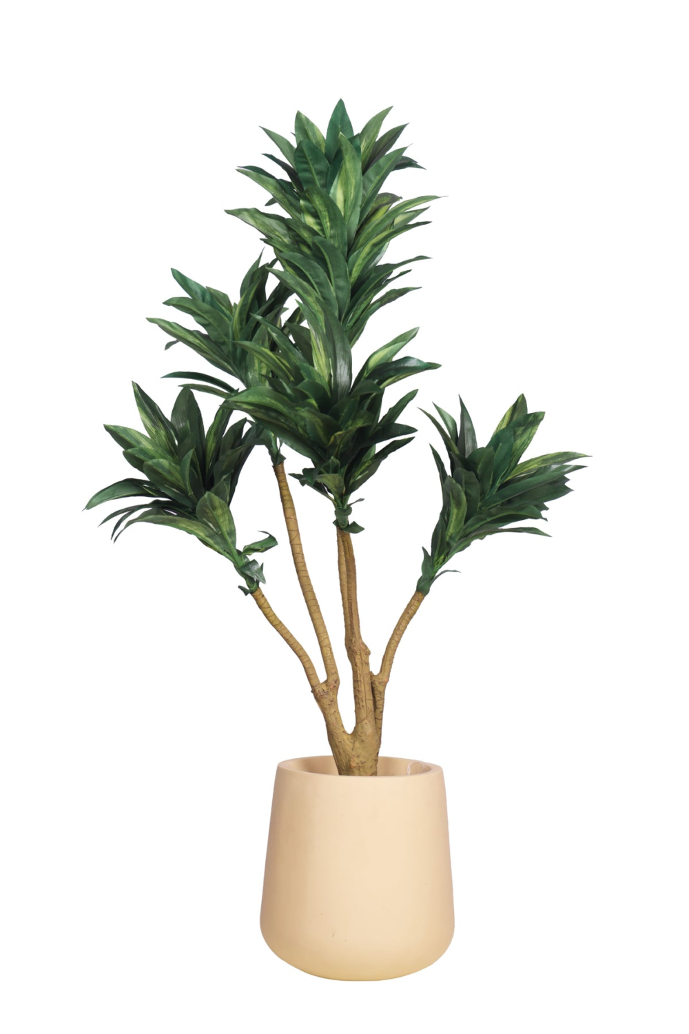 Pollination Attractive Artificial Dracaena Plant Without Pot - Image 10