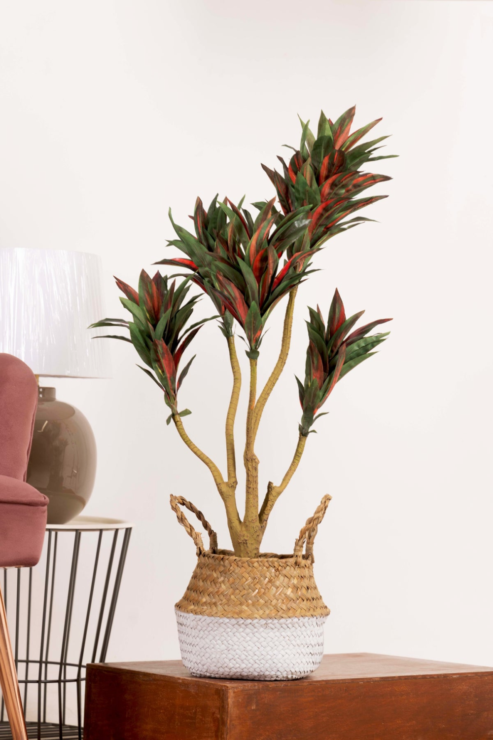 Pollination Attractive Artificial Dracaena Plant Without Pot - Image 5